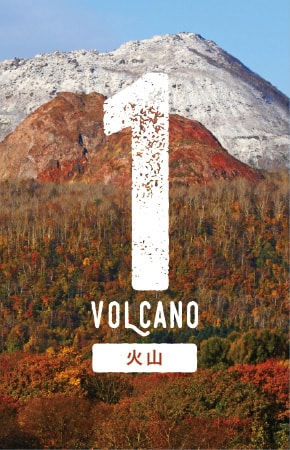 TV Bros. 北海道版 2012年5月12日号 通巻No.520 入手困難 ヘルメットトンカツラーメン | eihoのブログ3